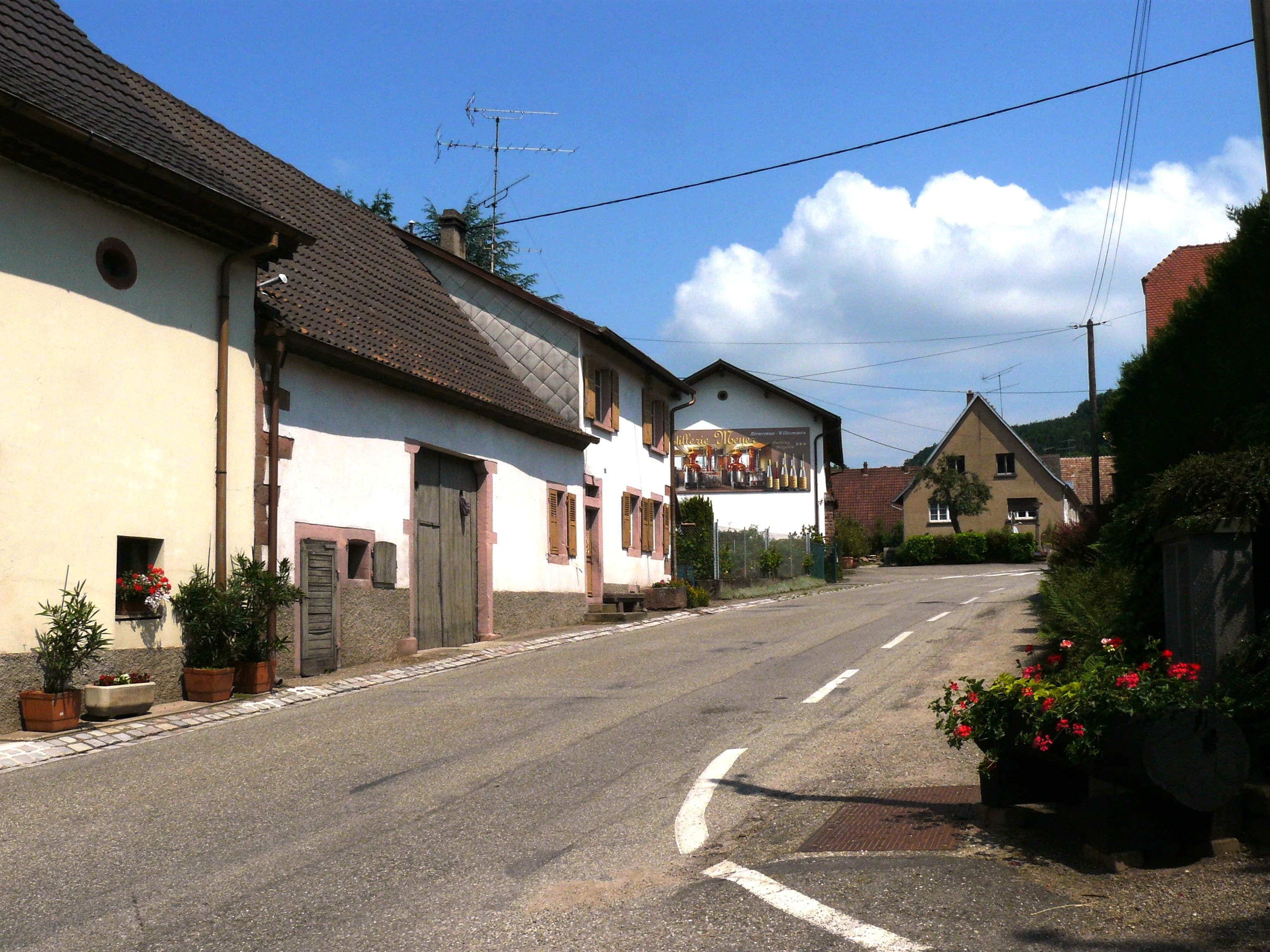 Meyer