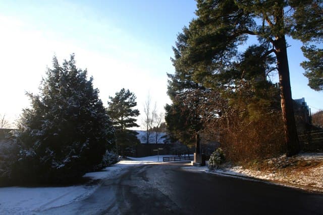Tamdhu