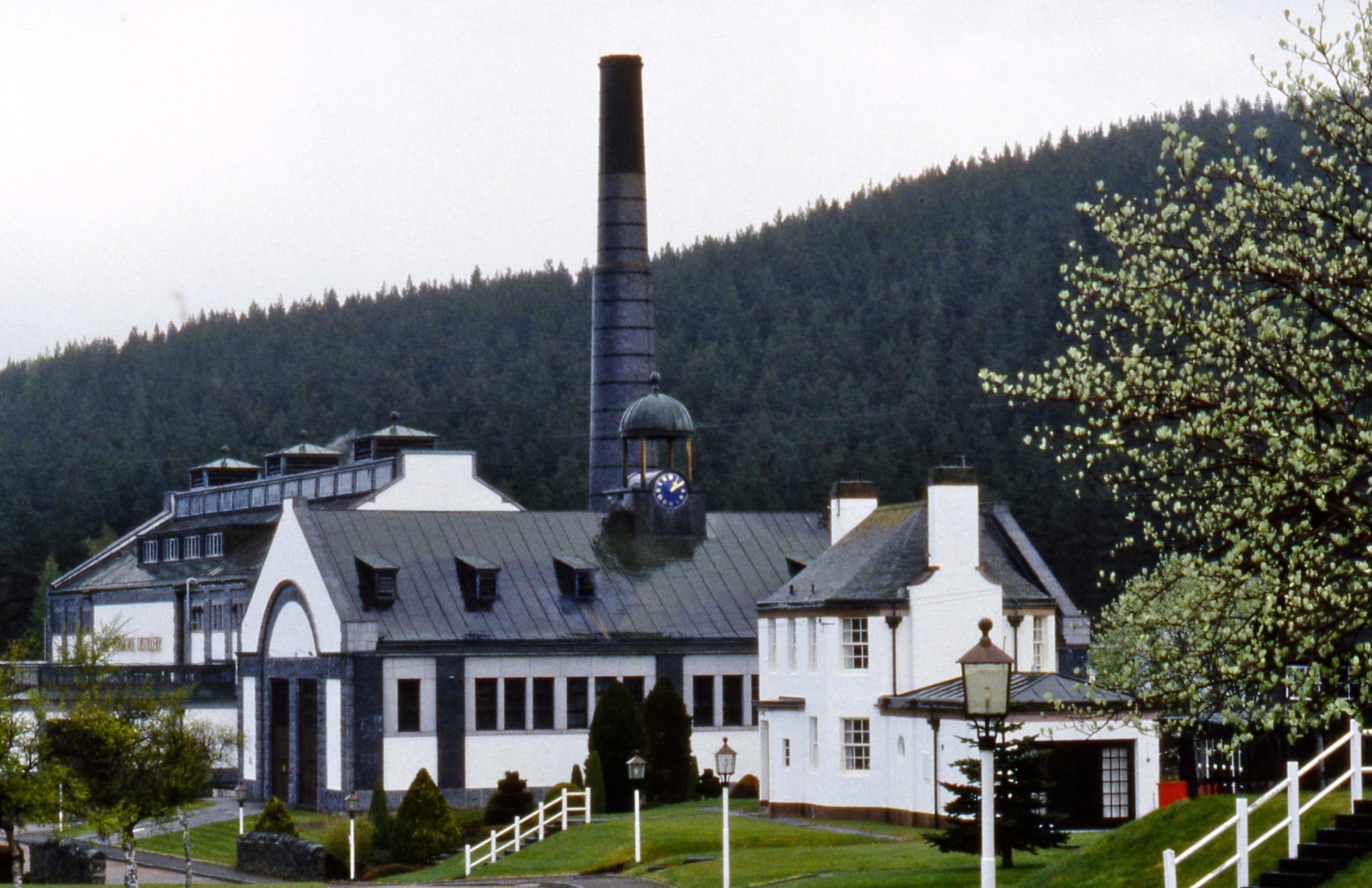 Tormore